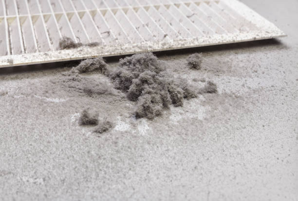 Home Air Vent Cleaning in El Segundo, CA